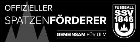 Logo_Foerderer